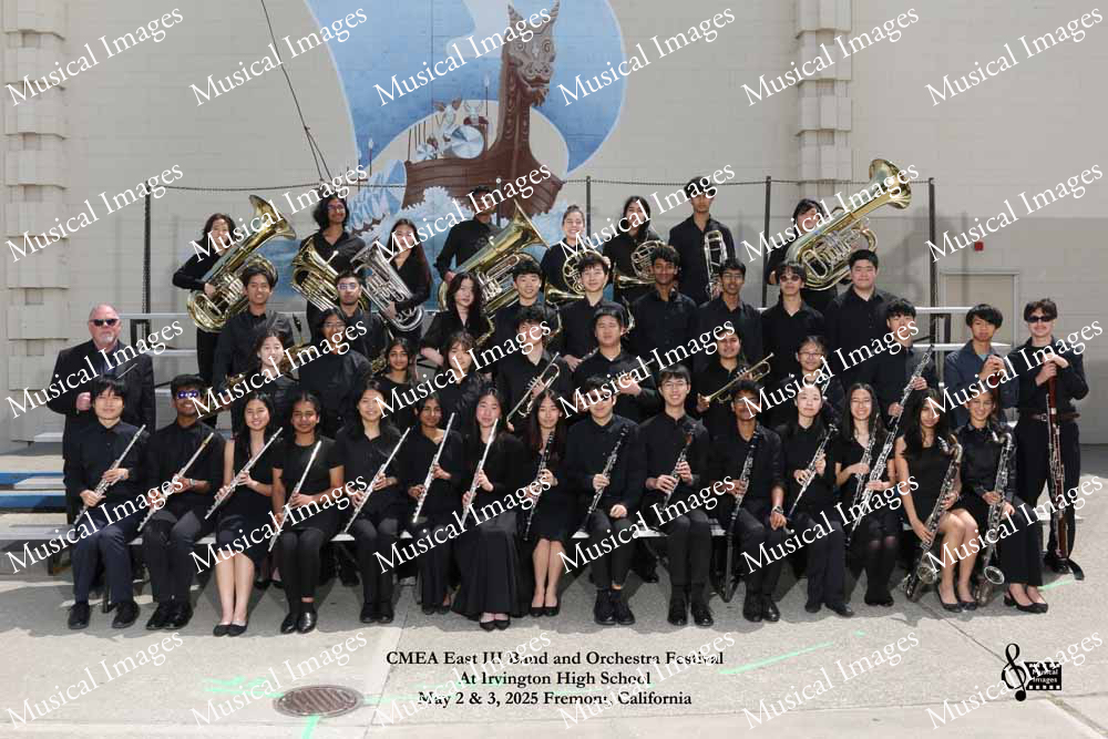 Musical Images